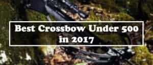 Best Crossbow Under 500 FI