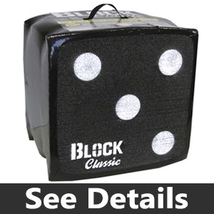 The Block Classic Archery Target review