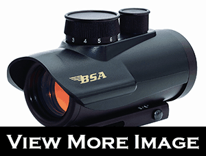 BSA 30mm Red Dot Scope with 5 MOA Review